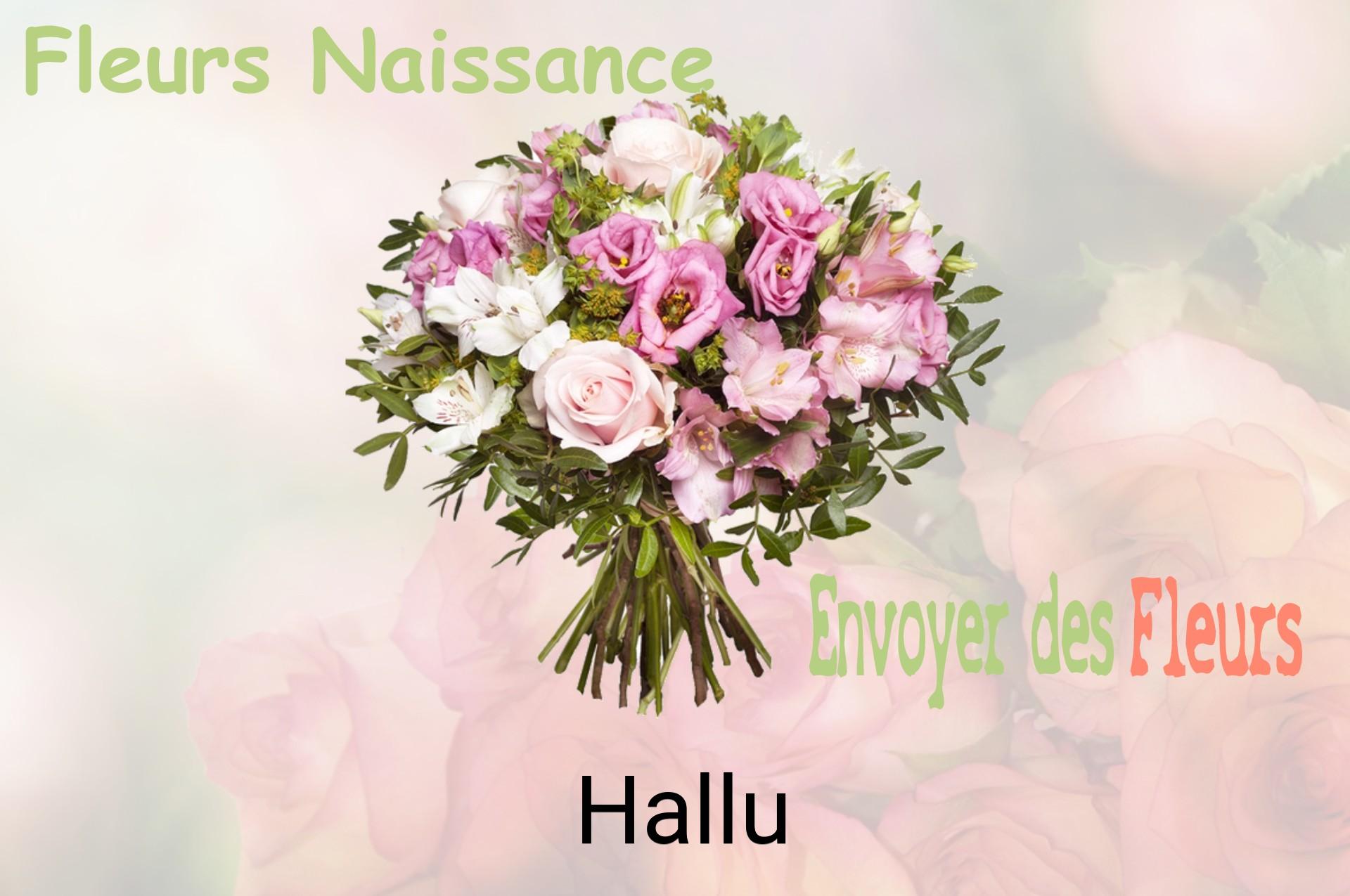 Bouquet de fleurs de naissance livré à Hallu
