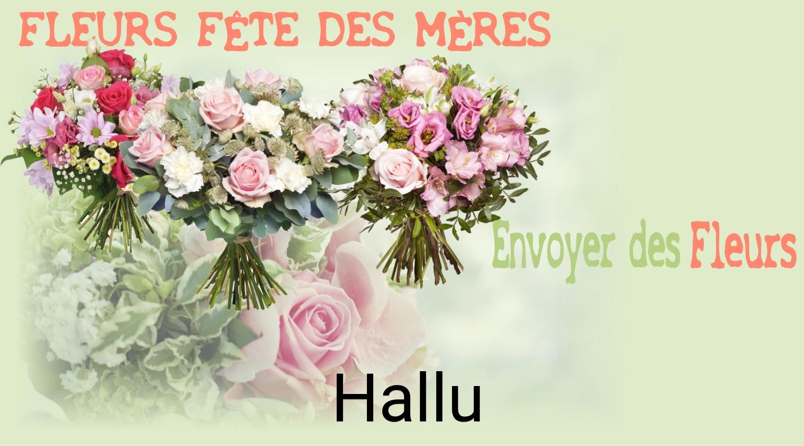 Bouquet de Fête des Mères livré à Hallu